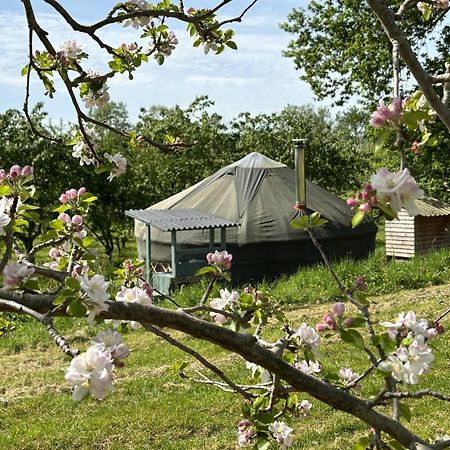 Dragon Orchard Retreat Villa Ledbury Eksteriør bilde