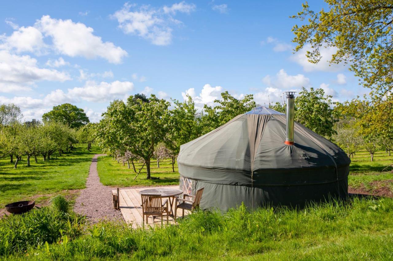 Dragon Orchard Retreat Villa Ledbury Eksteriør bilde