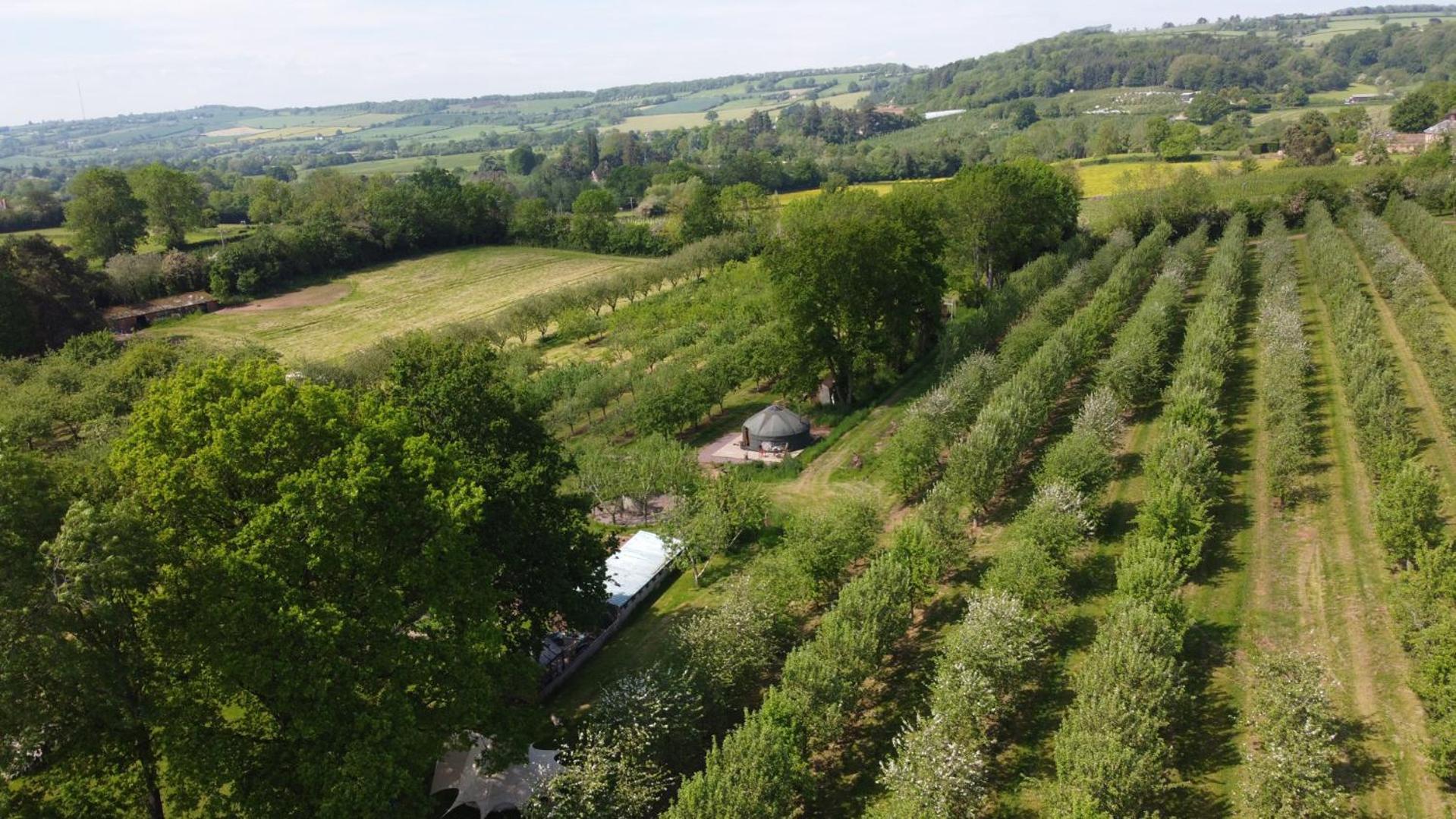 Dragon Orchard Retreat Villa Ledbury Eksteriør bilde