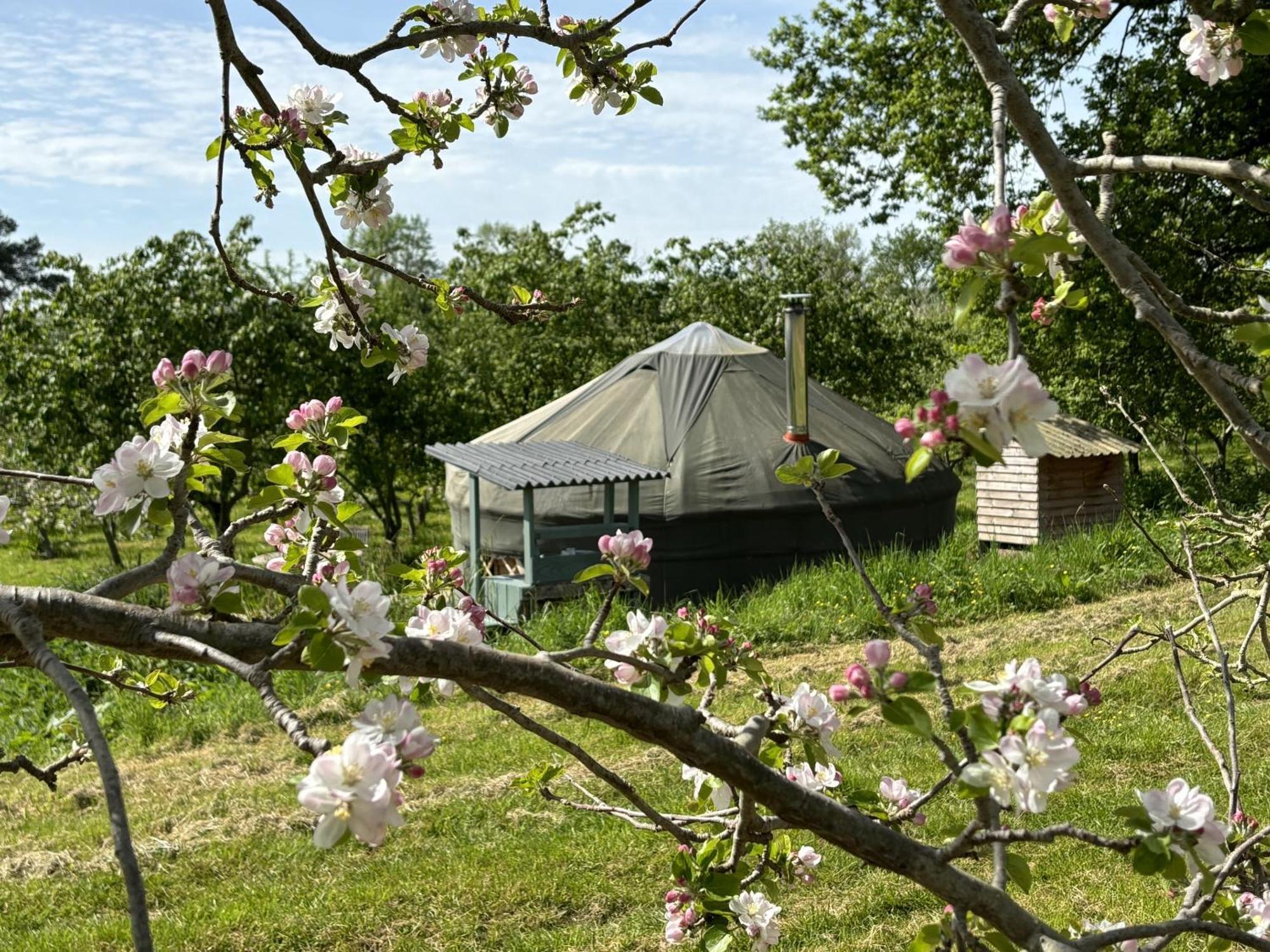 Dragon Orchard Retreat Villa Ledbury Eksteriør bilde