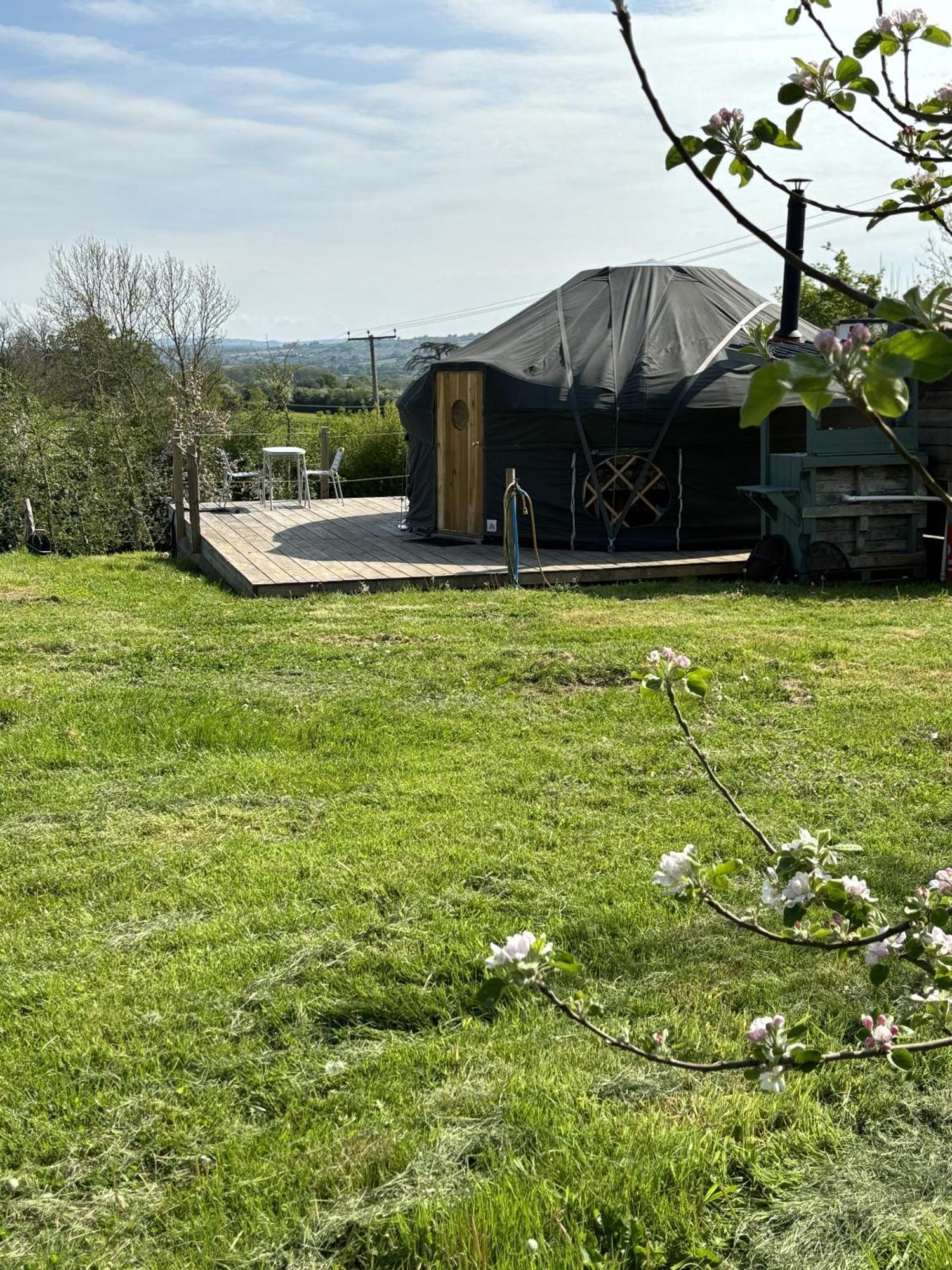 Dragon Orchard Retreat Villa Ledbury Rom bilde